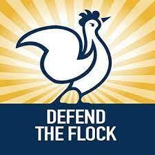 2024 Defend the Flock Chicken Calendar for Free — free sample: Get this 2024 Defend the Flock Chicken Calendar for free! All you have to do is click the 'Get sampl
