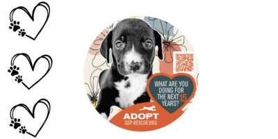 Pawsitively FREE Puppy Sticker