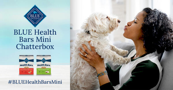 Blue Buffalo Health Bars MINI Chatterbox - Free Dog Treats! — free sample: Be one of the 200 people who will be selected to receive a complimentary BLUE Health Bars Mini Chatt