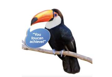 Explore Wildlife in Class with Free ZooZingo Cards