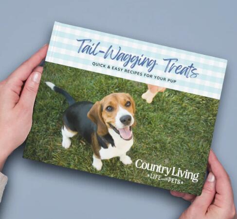 Tail-Wagging Treats Cookbook for FREE! — free sample: The "Tail-Wagging Treats" eCookbook includes recipes for training tidbits, cool snacks for hot days,