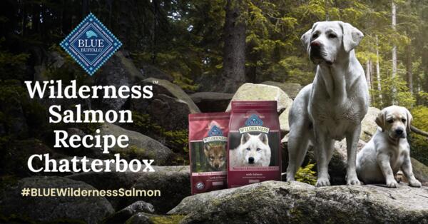 Free Blue Buffalo Wilderness Salmon Recipe Chatterbox Kit – Claim Yours Now! — free sample: You could be one of 480 lucky dog parents selected to receive a FREE Blue Buffalo Wilderness Salmon 
