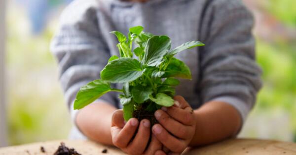 Bring the kids for this fun FREE Earth Day Craft Event at Pottery Barn Kids! TODAY Only! — free sample: This event is scheduled for April 20th, from 10 am to 2 pm, and encourages parents to bring their ch