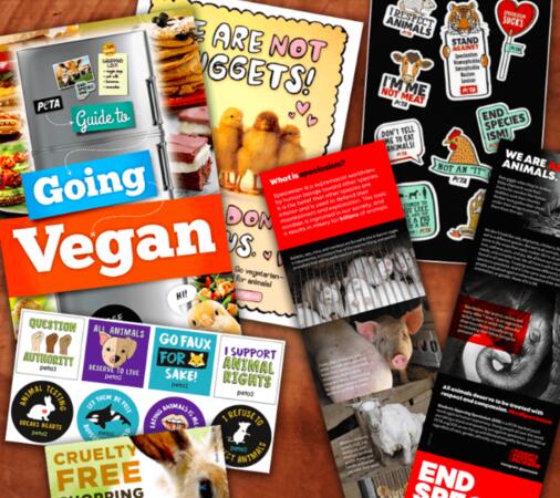 Anti-Speciesism Starter Pack from PETA for Free — free sample: Get a free Anti-Speciesism Starter Pack from PETA, which includes a "Guide to Going Vegan," stickers