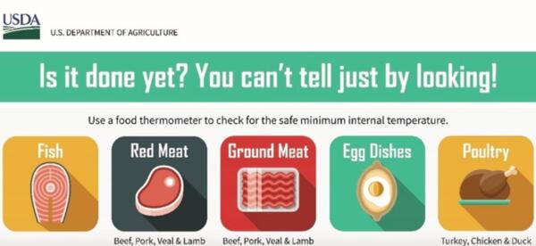 USDA Food Safety Internal Cooking Temperature Fridge Magnet for Free — free sample: Get this USDA Food Safety Internal Cooking Temperature Fridge Magnet for free! It is really easy to 