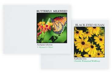 Free Seed Packs by AltNPS