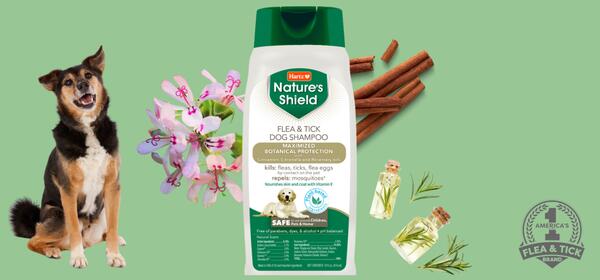 Free Nature's Shield Flea & Tick Dog Shampoo by Hartz! — free sample: Try this amazing new all natural dog shampoo for free! Click on the button down below and fill out t