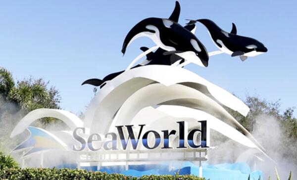 FREE SeaWorld Teacher Unlimited Admission Pass! — free sample: SeaWorld is offering a Free Unlimited Admission Pass (Free Teacher Fun Card) to all active and certi